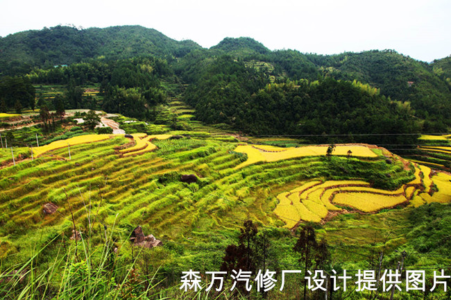 Article image 10