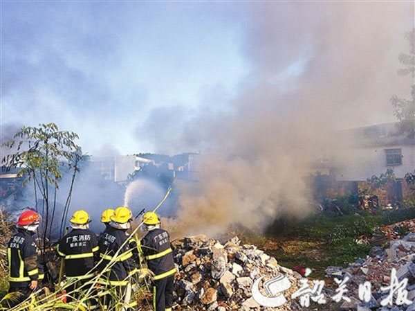 Article image 01